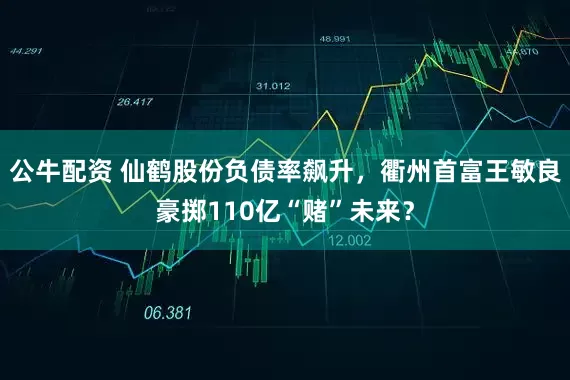 公牛配資 仙鶴股份負債率飆升，衢州首富王敏良豪擲110億“賭”未來？