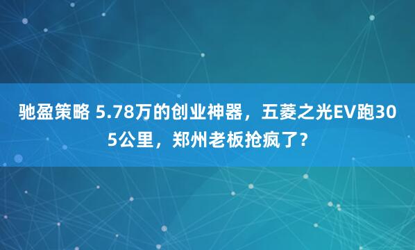 馳盈策略 5.78萬的創業神器，五菱之光EV跑305公里，鄭州老板搶瘋了？